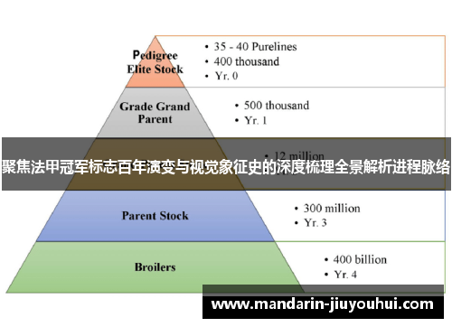 聚焦法甲冠军标志百年演变与视觉象征史的深度梳理全景解析进程脉络