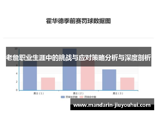 老詹职业生涯中的挑战与应对策略分析与深度剖析