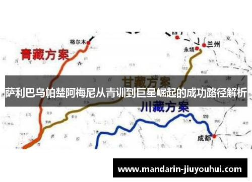 萨利巴乌帕楚阿梅尼从青训到巨星崛起的成功路径解析