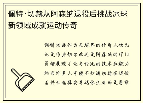 佩特·切赫从阿森纳退役后挑战冰球新领域成就运动传奇