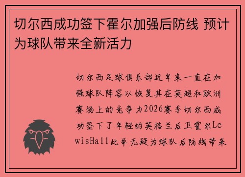 切尔西成功签下霍尔加强后防线 预计为球队带来全新活力